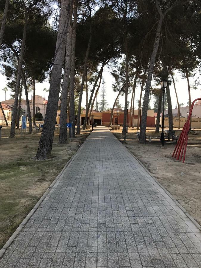 Ferienwohnung Residential Jardin Del Pintor - La Casa Amarilla Jacarilla Exterior foto